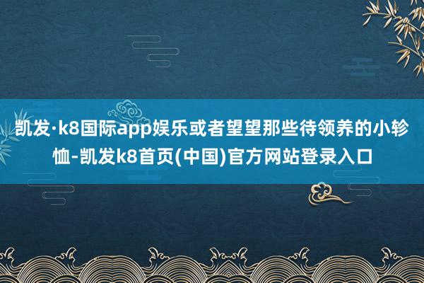 凯发·k8国际app娱乐或者望望那些待领养的小轸恤-凯发k8首页(中国)官方网站登录入口