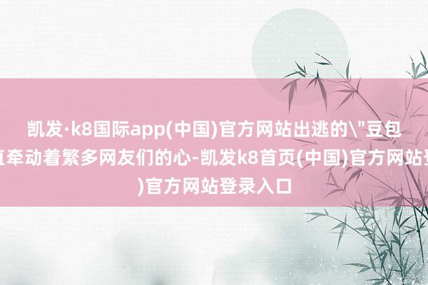 凯发·k8国际app(中国)官方网站出逃的＂豆包＂也一直牵动着繁多网友们的心-凯发k8首页(中国)官方网站登录入口