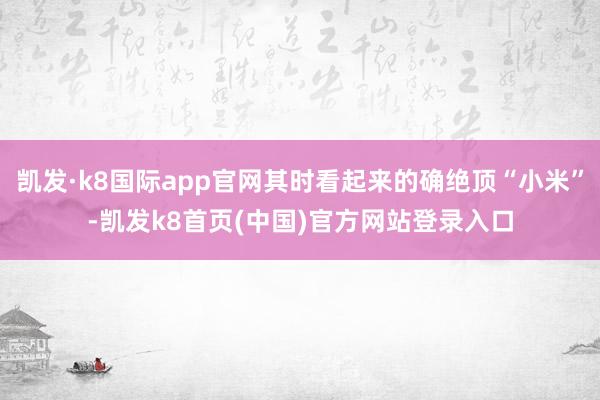 凯发·k8国际app官网其时看起来的确绝顶“小米”-凯发k8首页(中国)官方网站登录入口