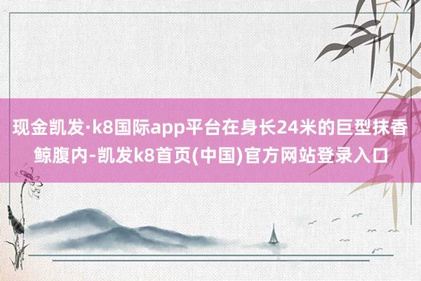 现金凯发·k8国际app平台在身长24米的巨型抹香鲸腹内-凯发k8首页(中国)官方网站登录入口